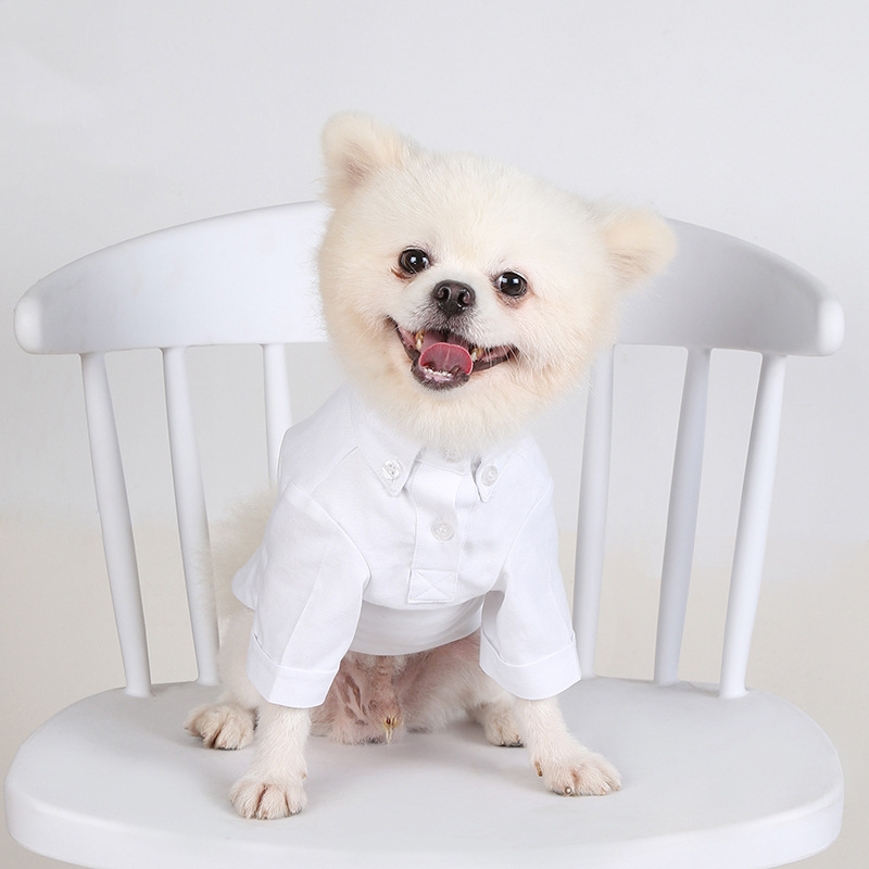 Spring and Autumn Pet Bottomin - Summer Dog Clothing recension och pris
