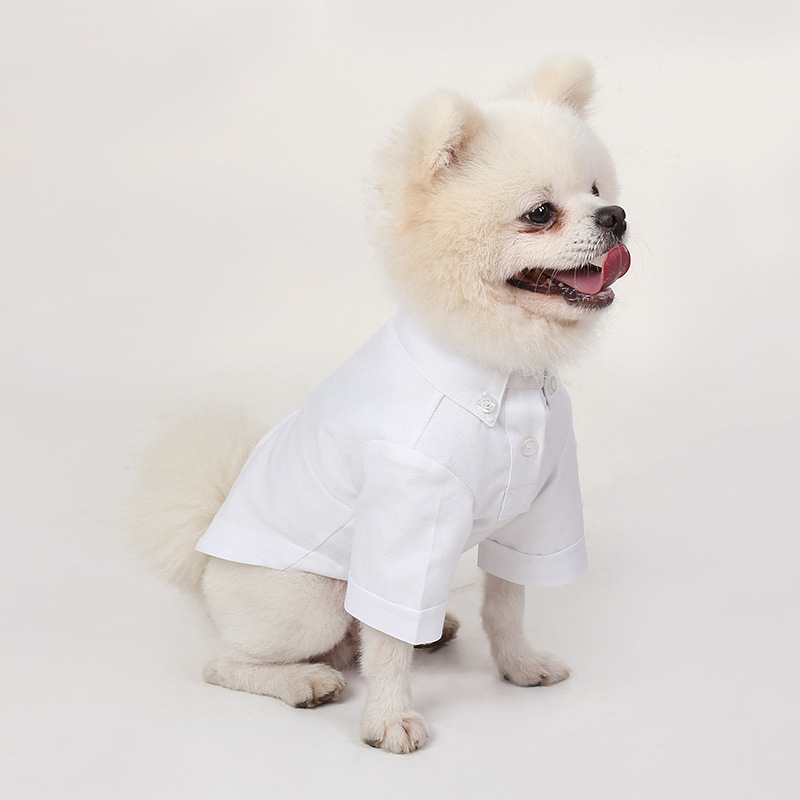 Spring and Autumn Pet Bottomin - Summer Dog Clothing recension och pris