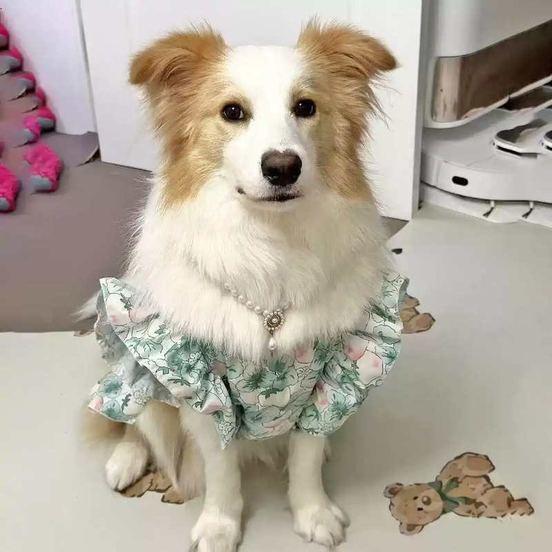 Pet Clothes Spring and Summer  - Summer Dog Clothing recension och pris