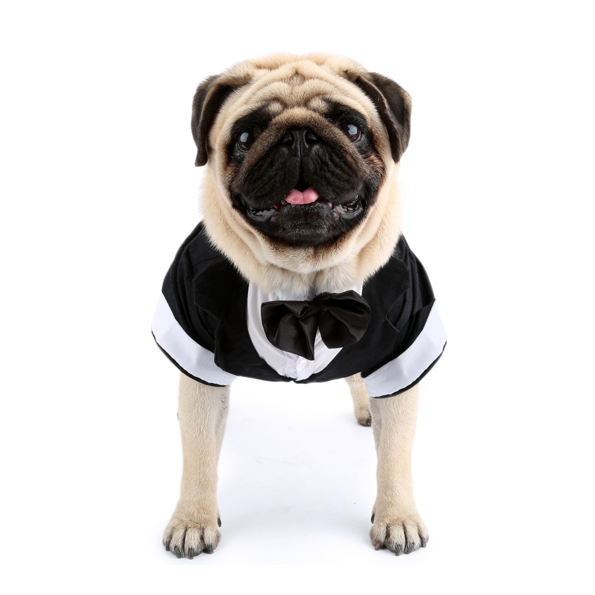 Dog Shirt Puppy Clothes, Pet W - Summer Dog Clothing recension och pris
