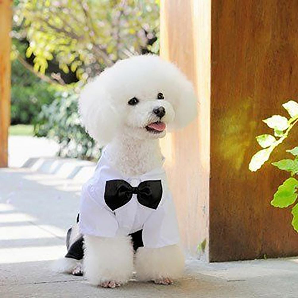 Dog Bow Tie Suit Tuxedo Costum - Summer Dog Clothing recension och pris