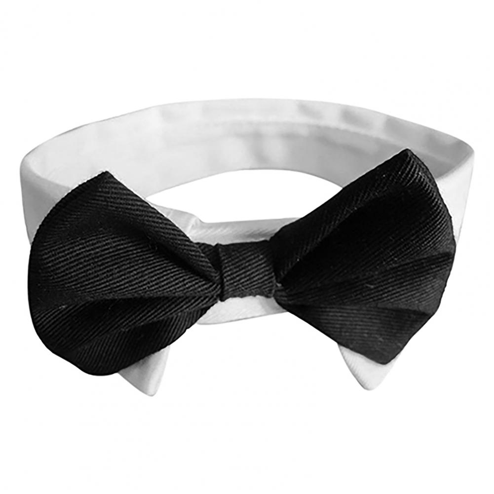 Dog Bow Tie Suit Tuxedo Costum - Summer Dog Clothing recension och pris